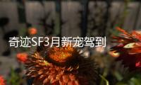 奇迹SF3月新宠驾到 神佑主题宠物设计灵感大揭秘