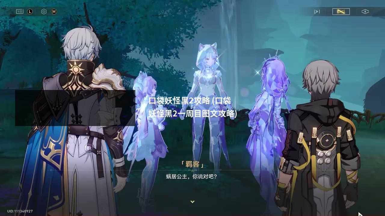 口袋妖怪黑2攻略 (口袋妖怪黑2一周目图文攻略)