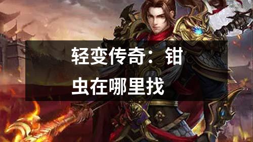 轻变传奇：钳虫在哪里找