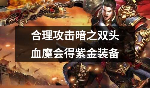 合理攻击暗之双头血魔会得紫金装备