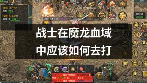 战士在魔龙血域中应该如何去打