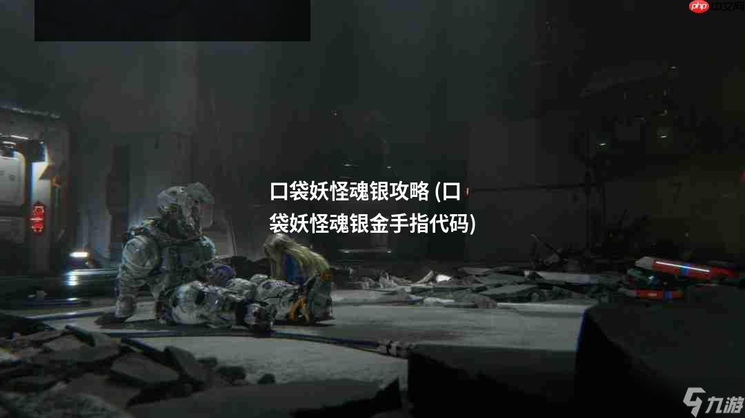 口袋妖怪魂银攻略 (口袋妖怪魂银金手指代码)